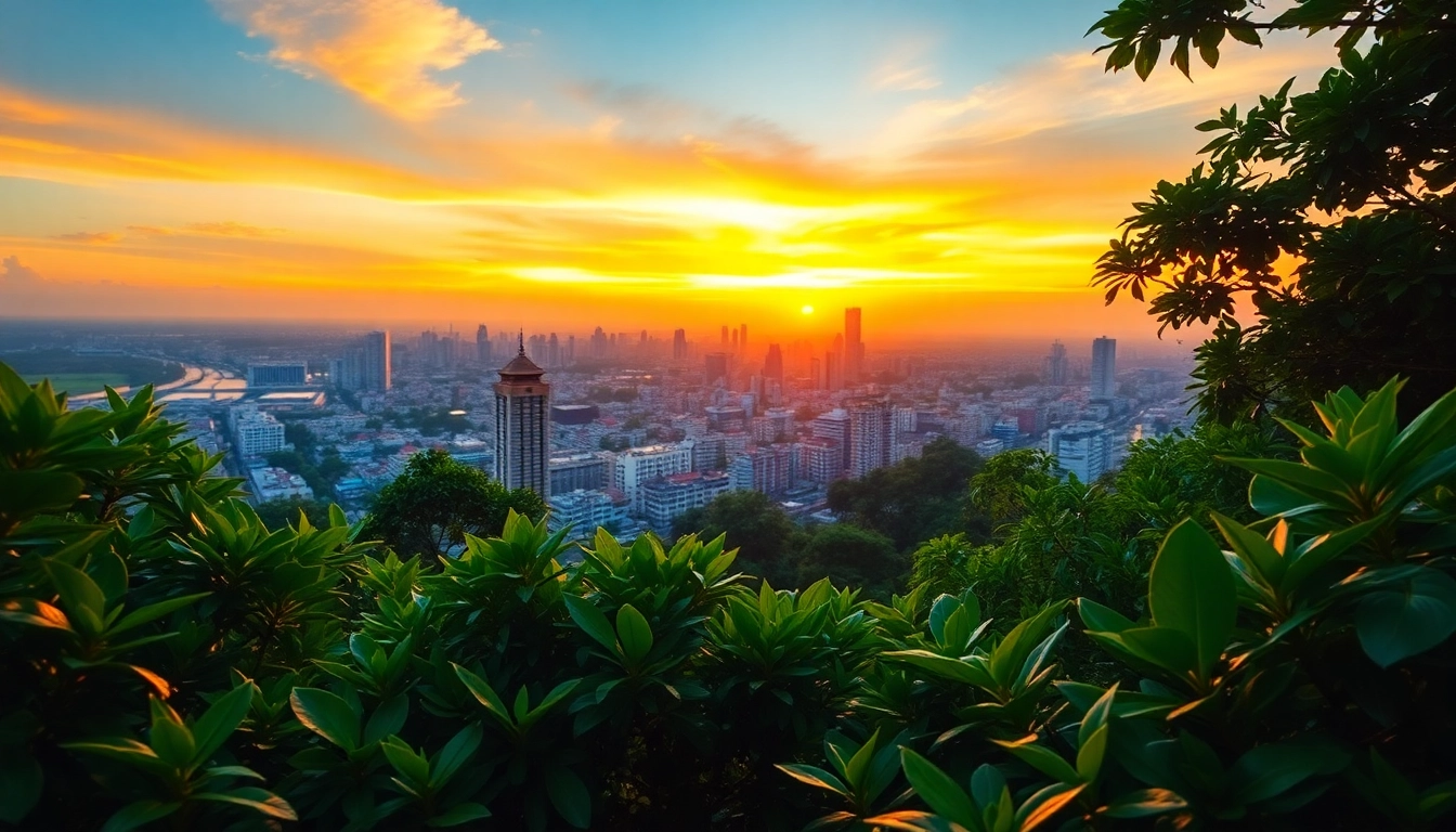 Experience the charm of 베트남 호치민 황제투어 후기 with a breathtaking sunset over the city and lush greenery.